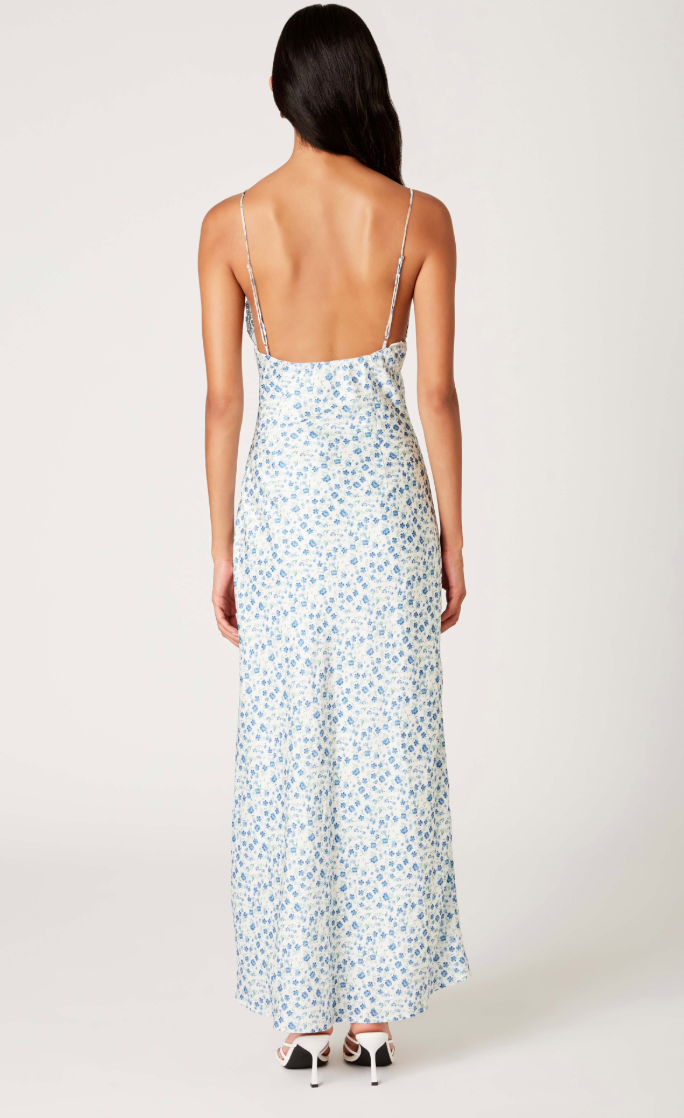 Gabriela Floral Silk Dress