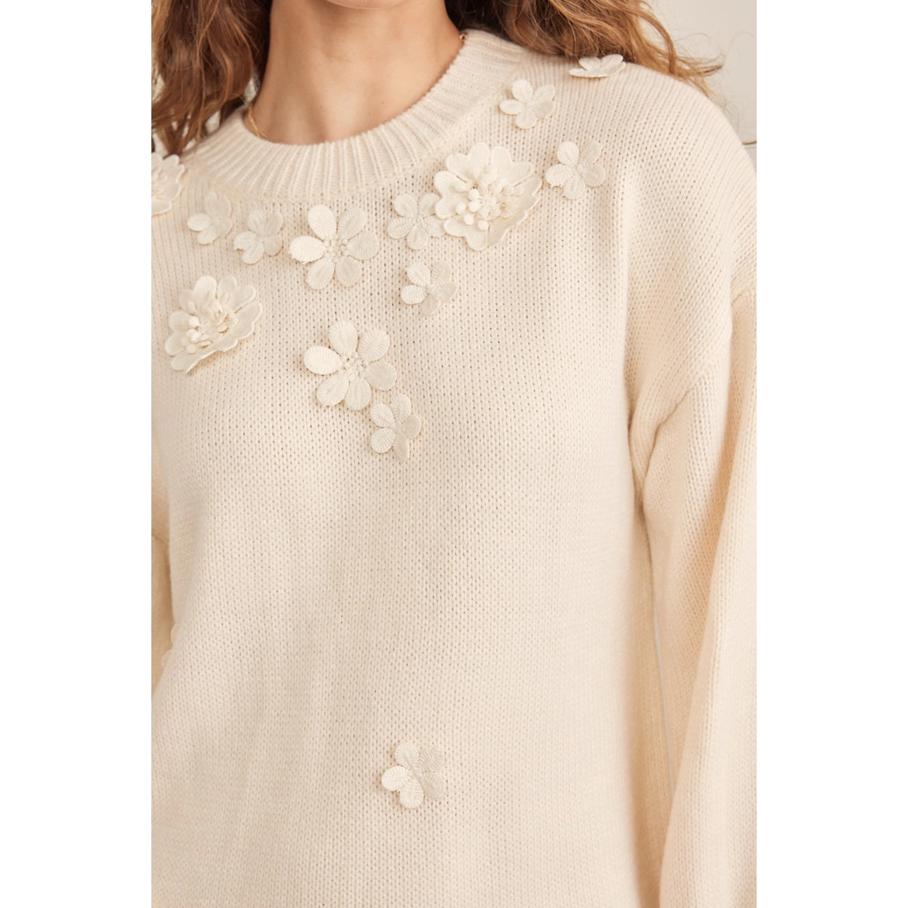 Georgia Floral Applique Sweater Dress
