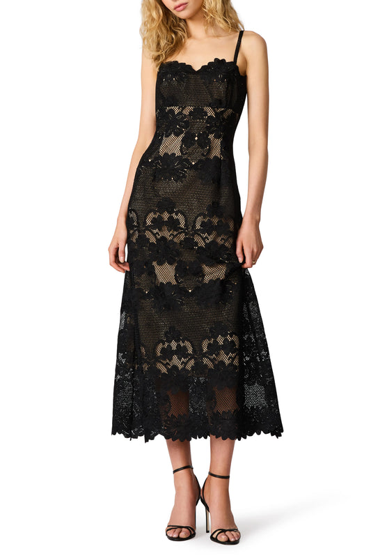 Willow Lace Midi Dress