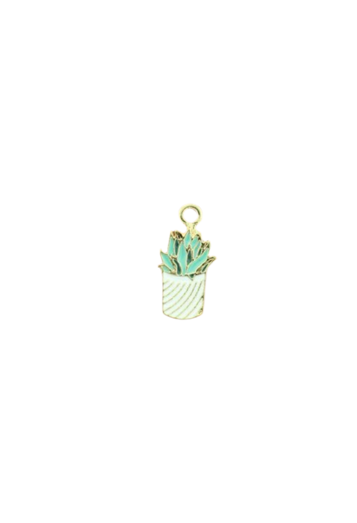 Succulent Charm