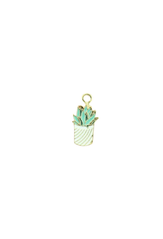 Succulent Charm