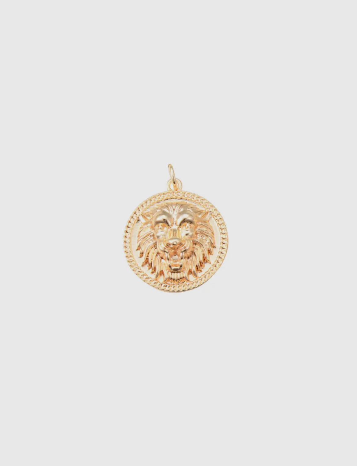Lion Charm