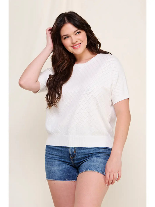 Melina Dolman Pointelle SS Sweater- Plus