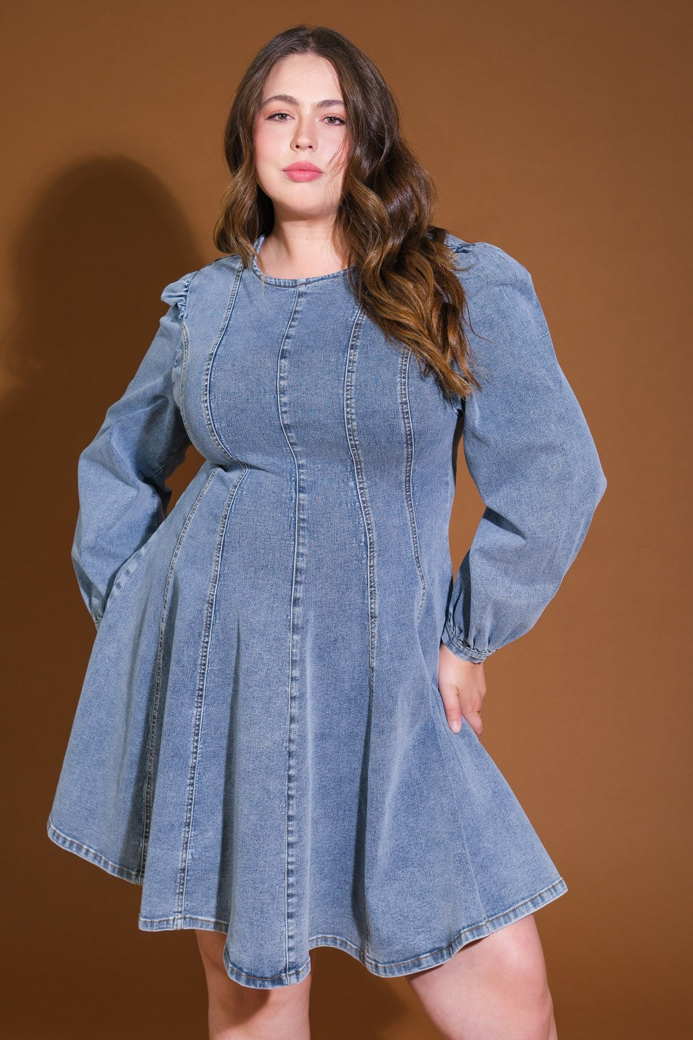 Lainey Denim Dress - Plus