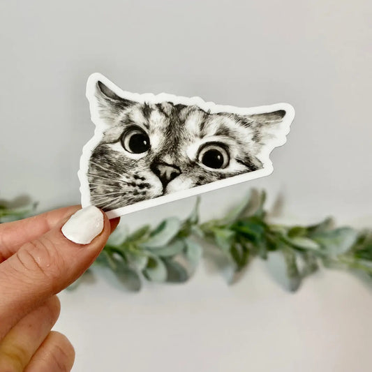 Cat Sticker