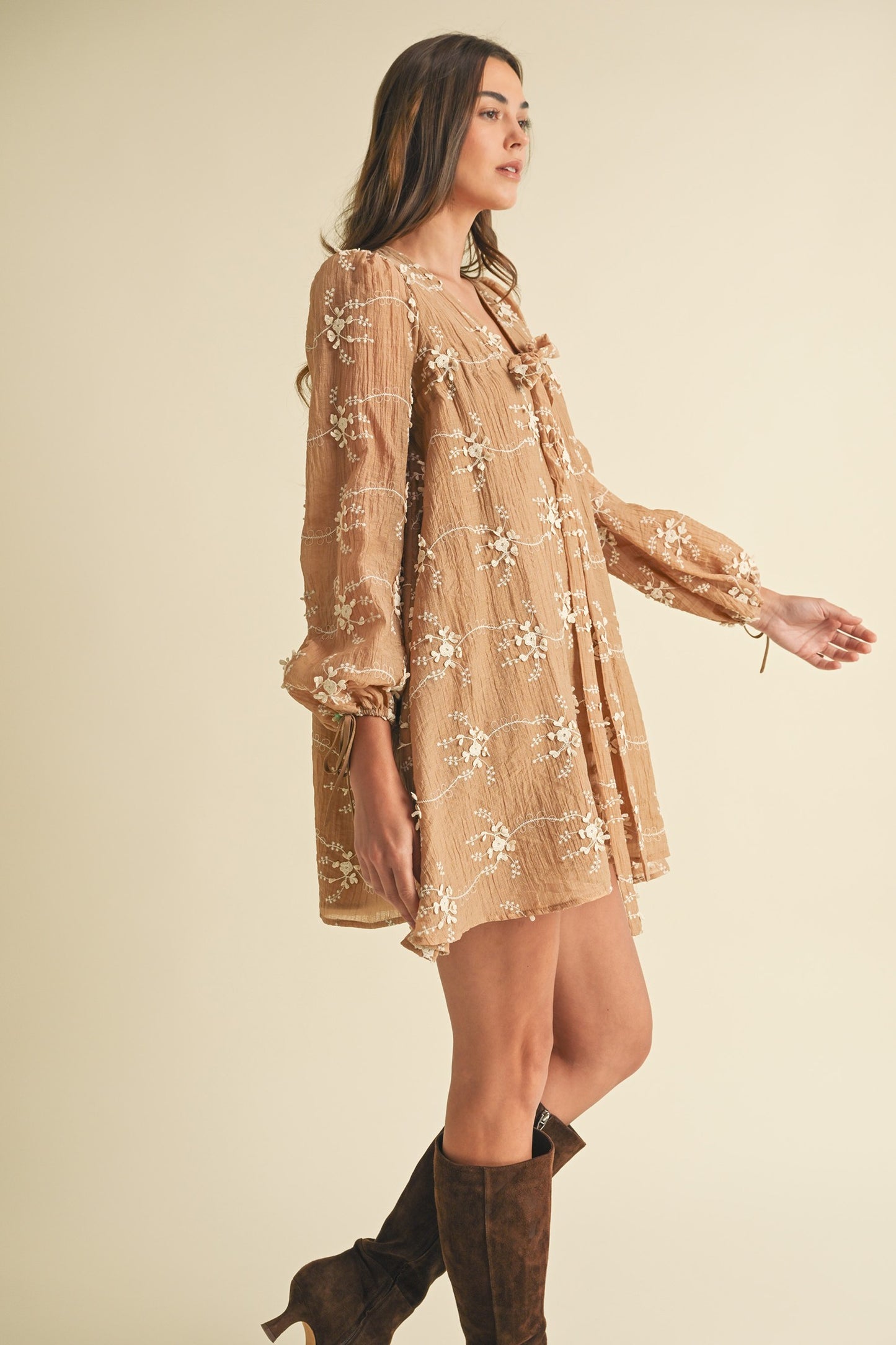 Willow Embroidered Dress
