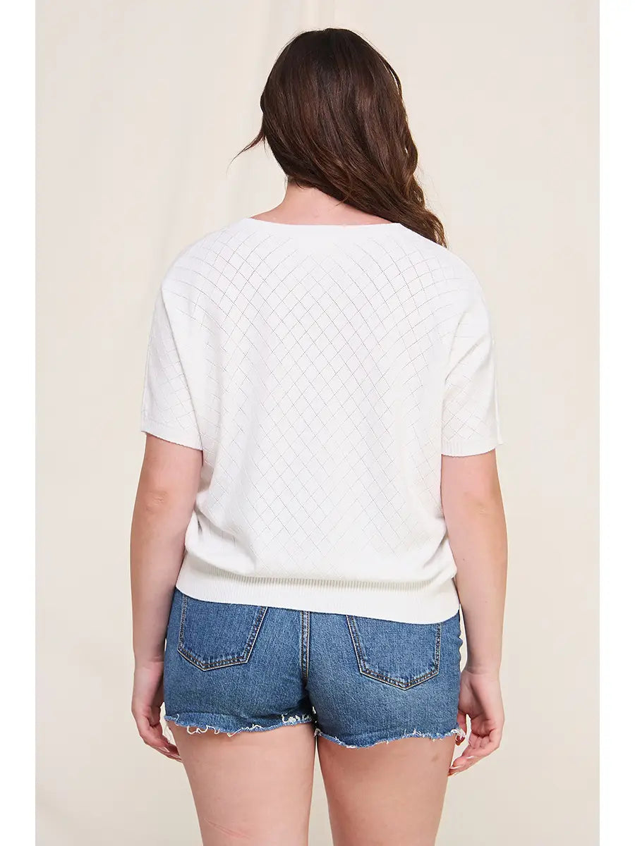 Melina Dolman Pointelle SS Sweater- Plus